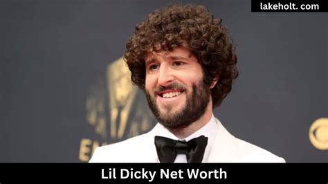 what is lil dicky net worth|Lil Dicky Net Worth – Equity Atlas